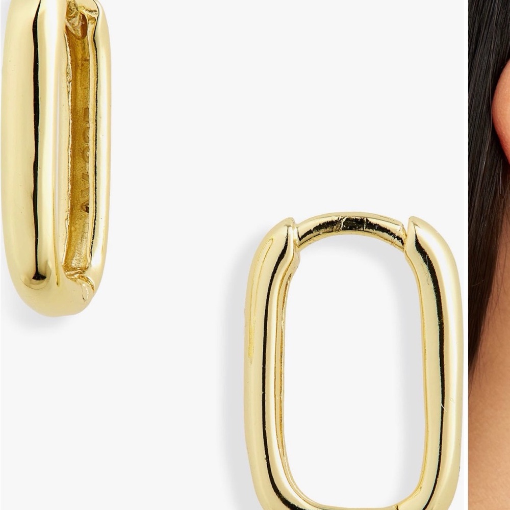 Oblong Hoop Earrings